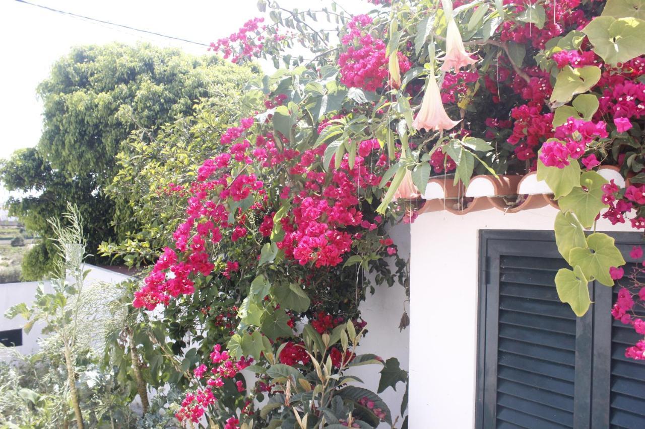 Casinha Da Andorinha - Ericeira Villa Dış mekan fotoğraf
